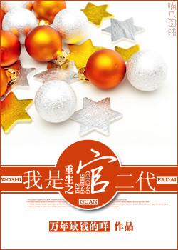 重生之我是官二代封面