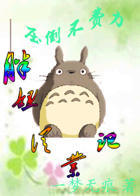 胖妞从业记封面