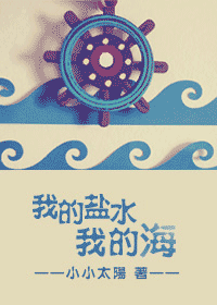 我的盐水,我的海封面