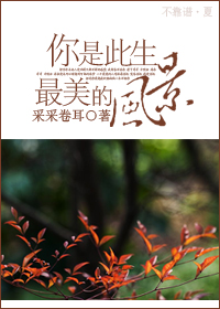 你是此生最美的风景封面