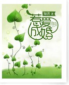 总裁惹爱成婚封面