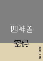 四神兽密码封面