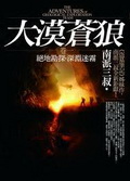 大漠苍狼Ⅱ:绝密飞行封面