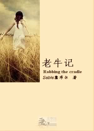 老牛记封面