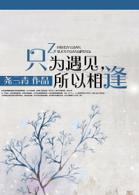 只为遇见,所以相逢封面