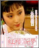 续红楼之红楼新梦封面