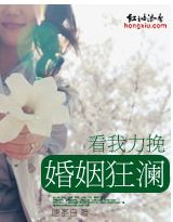 看我力挽婚姻狂澜封面