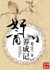 奸商养成记封面