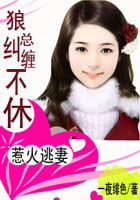 狼总纠缠不休封面