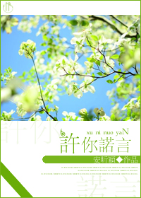 许你诺言封面