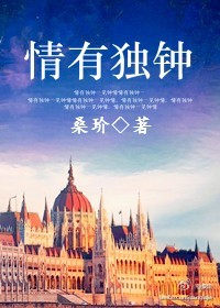 情有独钟封面