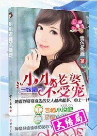 小小老婆不受宠封面