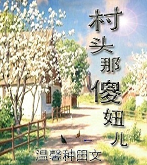村头那傻妞儿封面