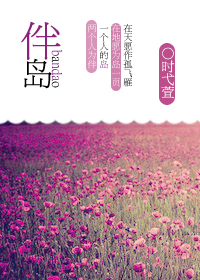 伴岛封面