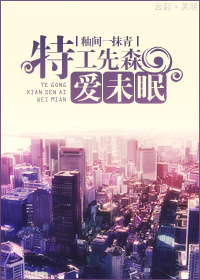 特工先森爱未眠封面