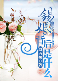锡婚背后是什么封面
