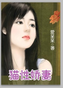 丫鬟丈夫封面