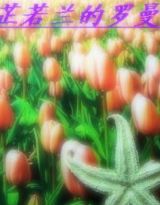 汀芷若兰的罗曼史封面