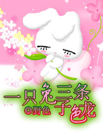 一只兔子三条色龙封面