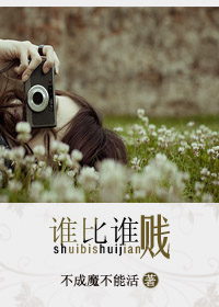 谁比谁贱封面