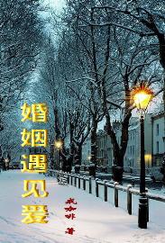 婚姻遇见爱封面
