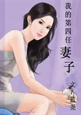 我的第四任妻子封面