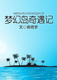 梦幻岛奇遇记封面