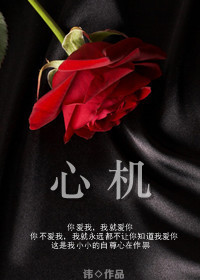 心机封面