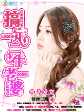 搞定二手老婆封面