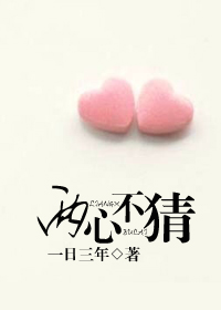 两心不猜封面