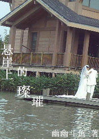 悬崖上的璀璨封面