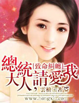 总统大人,请爱我封面