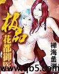 极品花都御医封面