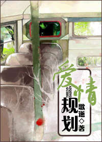 爱情规划封面