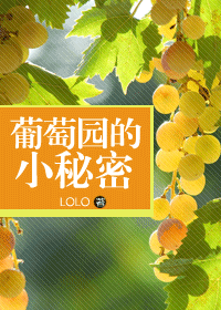 葡萄园的小秘密封面