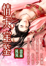 情天宝鉴封面