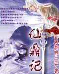 仙鼎记封面