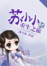苏小小的重生之旅封面