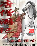 唐僧游记封面