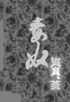 毒奴封面