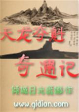 天龙夺魁奇遇记封面