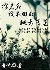 你是我找不回的地老天荒封面