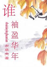 谁袖盈华年封面