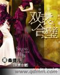 双袁合璧封面