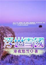 浮世雪国封面