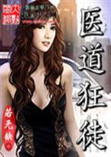 医道狂徒封面