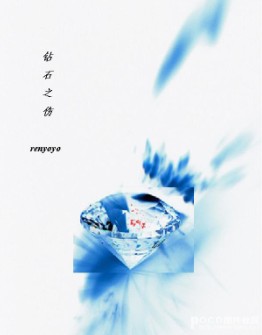 钻石之伤封面