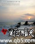 僵尸黑夜传说封面