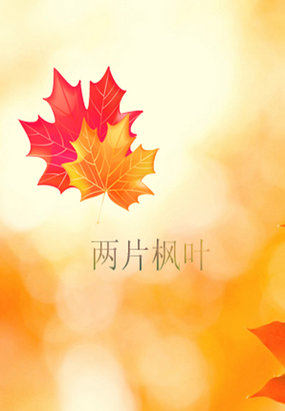 两片枫叶封面
