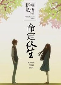 命定终笙封面
